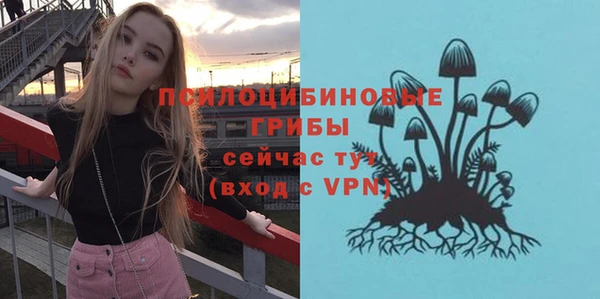 соль курить ск Краснослободск
